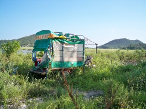 broken cart in marsh