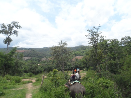 View from the top of an elephant! 2-day trekking trip from Chiang Mai. 